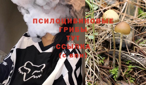 эйфоретик Корсаков