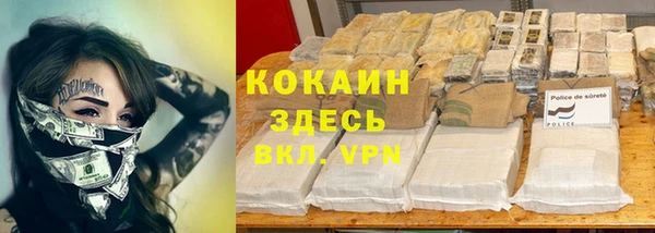 гидра Костерёво