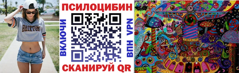 Галлюциногенные грибы Cubensis  Купить  Тарко-Сале 