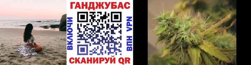 Купить  Тарко-Сале  Канабис планчик 